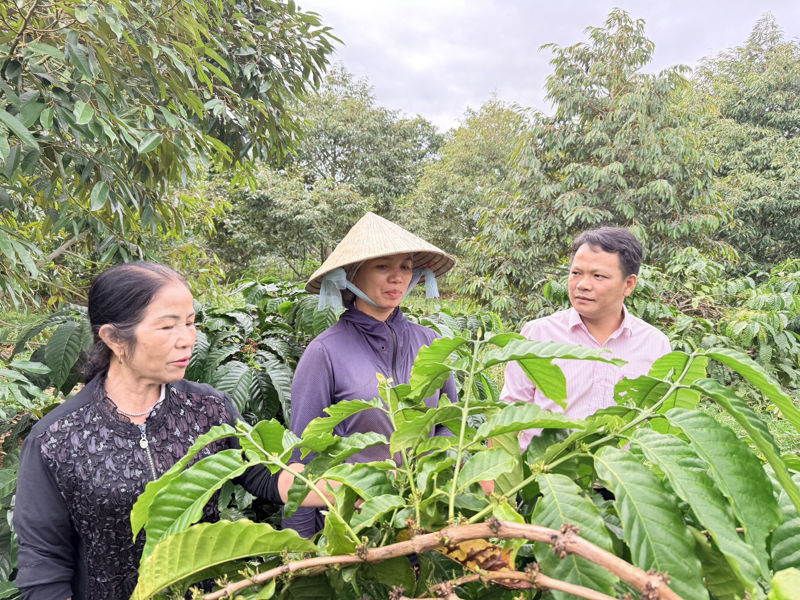 chị Lưu Thị Kim Hiên giới thiệu hiệu quả từ nguồn vốn ưu đãi với cán bộ Phòng giao dịch NHCSXH Cư Mgar